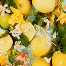 Charger l'image dans la galerie, Sugar Coated Body Scrub, Mint & Yuzu