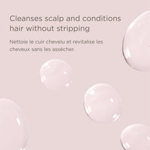 Load image into Gallery viewer, An Apple a Day ACV Hair Rinse