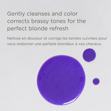 Load image into Gallery viewer, Pass on the Brass Purple Shampoo